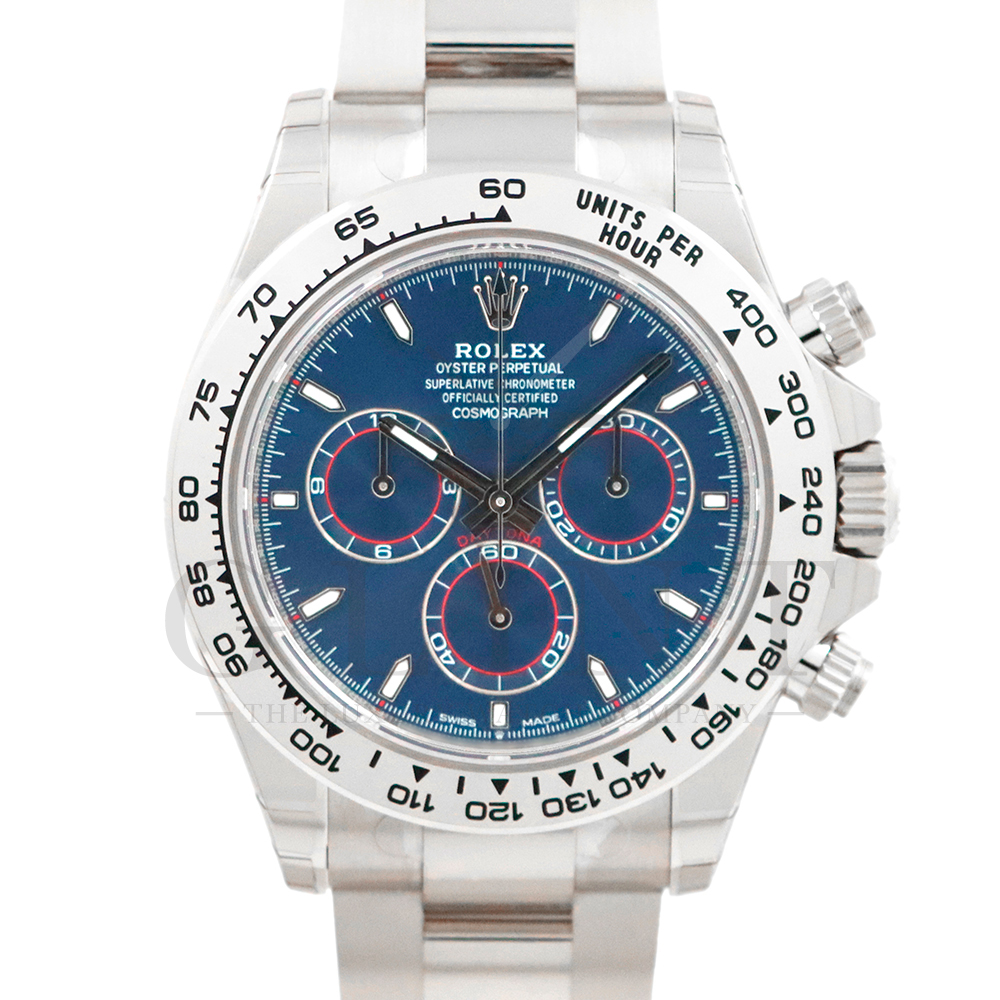 �R�X���O���t �f�C�g�i 126509 [�I�C�X�^�[�u���X���b�g �u���C�g�u���[]